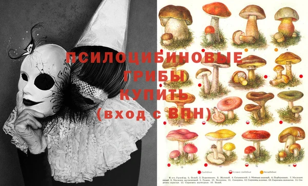ешки Абаза